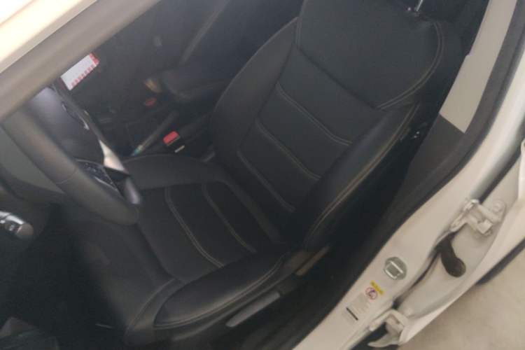 Used BYD Yuan New Energy 2019 EV535 High-Energy Leading Edition Left Front Seat