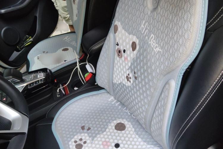 Used BYD Yuan New Energy 2019 EV535 Smart Connect Trendsetting Model Left Front Seat