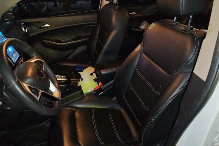 Used BYD Yuan New Energy 2019 EV535 Smart Connect Trendsetting Model Left Front Seat