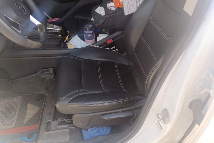 Used BYD Yuan New Energy 2019 EV535 Smart Connect Trendsetting Model Left Front Seat