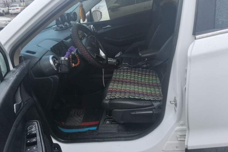 Used BYD Yuan New Energy 2019 EV535 Smart Connect Trendsetting Model Left Front Seat