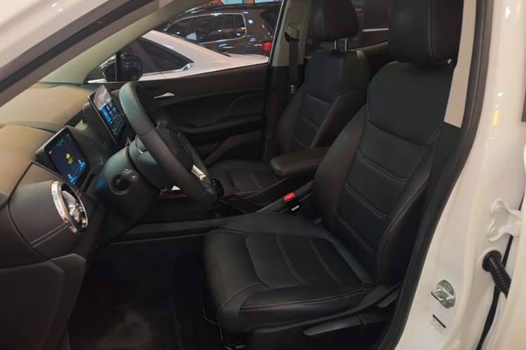 Used BYD Yuan New Energy 2019 EV535 Smart Connect Elite Model Left Front Seat