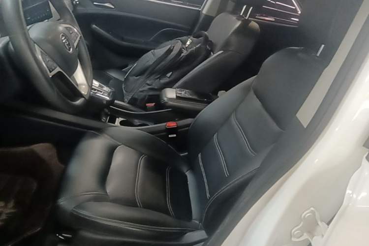 Used BYD Yuan New Energy 2019 EV535 High-Energy Leading Edition Left Front Seat