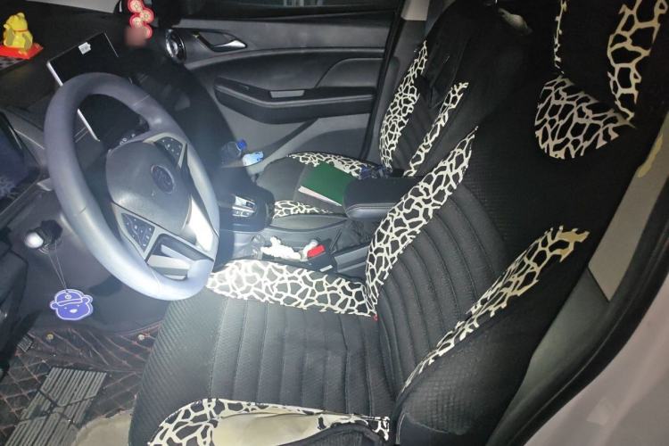 Used BYD Yuan New Energy 2019 EV535 High-Energy Leading Edition Left Front Seat