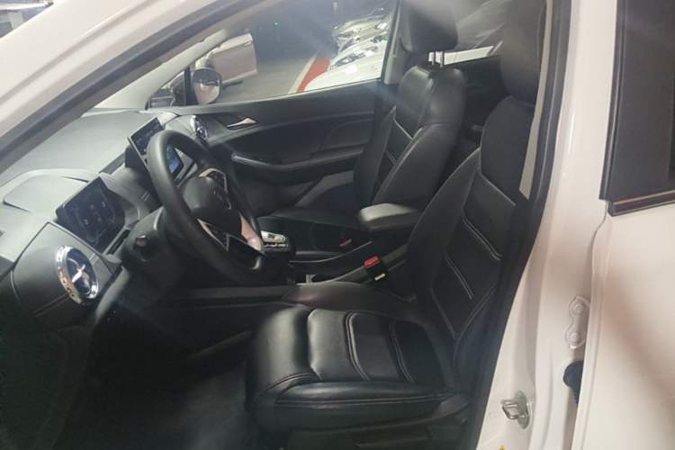Used BYD Yuan New Energy 2019 EV535 High-Energy Leading Edition Left Front Seat