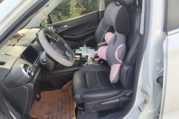 Used BYD Yuan New Energy 2019 EV535 Smart Connect Elite Model Left Front Seat