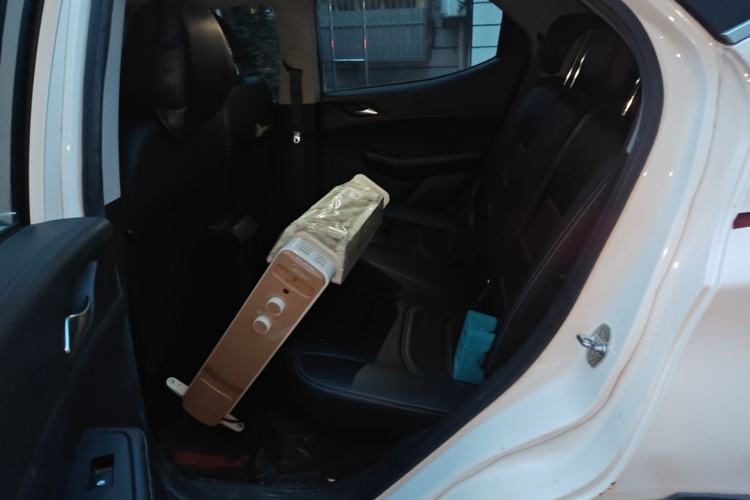 Used BYD Yuan New Energy 2019 EV535 Smart Connect Elite Model Left Rear Seat