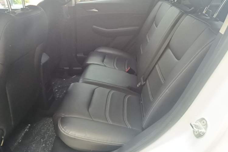 Used BYD Yuan New Energy 2019 EV535 Smart Connect Trendsetting Model Left Rear Seat