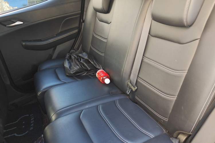 Used BYD Yuan New Energy 2019 EV535 Smart Connect Trendsetting Model Left Rear Seat