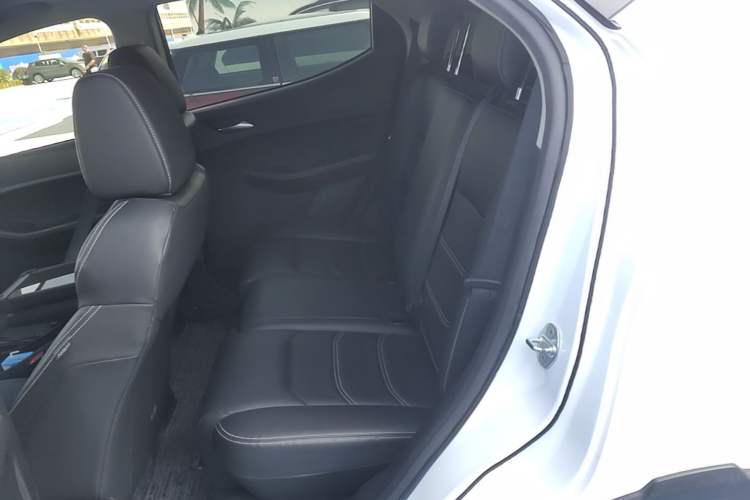 Used BYD Yuan New Energy 2019 EV535 High-Energy Leading Edition Left Rear Seat