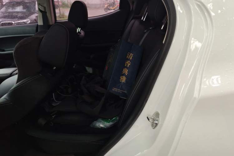 Used BYD Yuan New Energy 2019 EV535 Smart Connect Trendsetting Model Left Rear Seat
