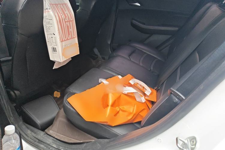 Used BYD Yuan New Energy 2019 EV535 Smart Connect Trendsetting Model Left Rear Seat