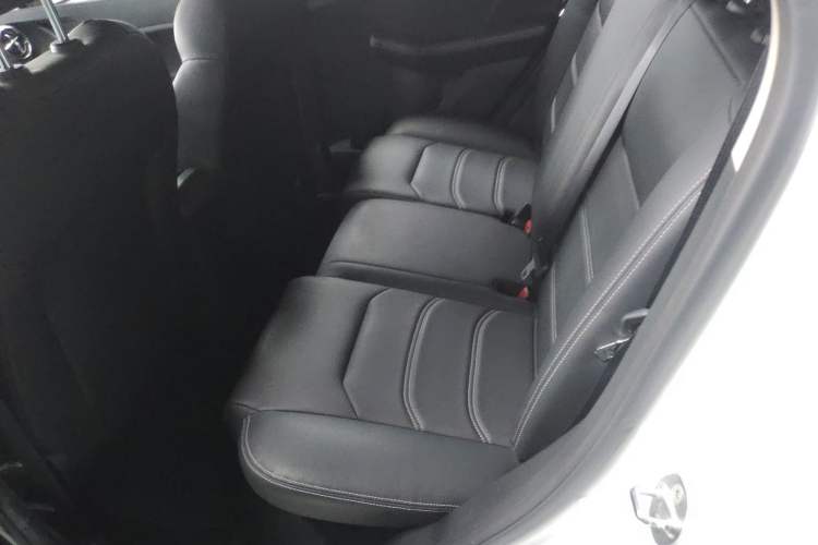 Used BYD Yuan New Energy 2019 EV535 Smart Connect Trendsetting Model Left Rear Seat