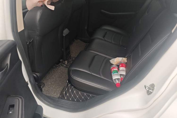 Used BYD Yuan New Energy 2019 EV535 Smart Connect Trendsetting Model Left Rear Seat