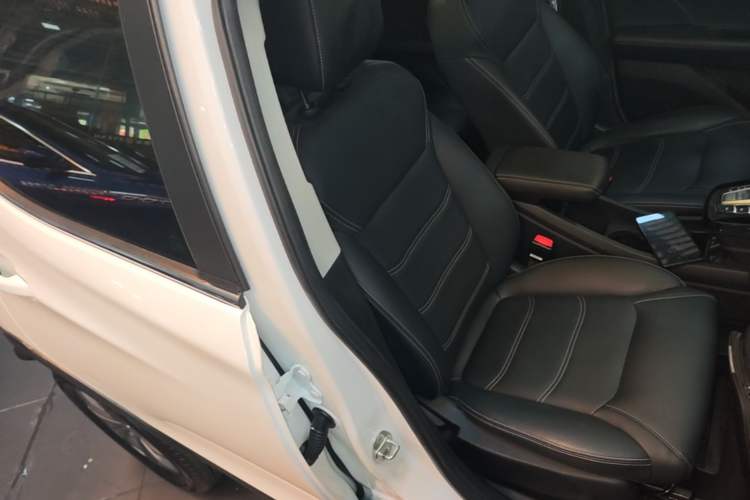 Used BYD Yuan New Energy 2019 EV535 Smart Connect Elite Model Right Front Seat