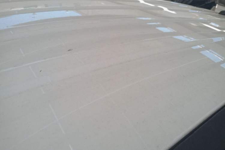 Used BYD Yuan New Energy 2019 EV535 Smart Connect Trendsetting Model Roof