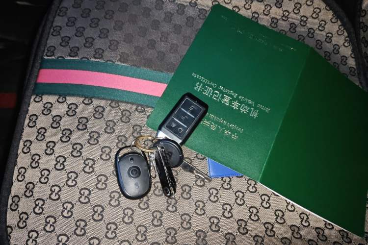 Used BYD Yuan New Energy 2019 EV535 Smart Connect Elite Model Vehicle Key