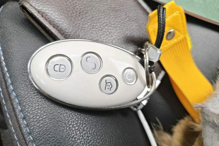Used BYD Yuan New Energy 2019 EV360 Smart Connect Leading Model Vehicle Key