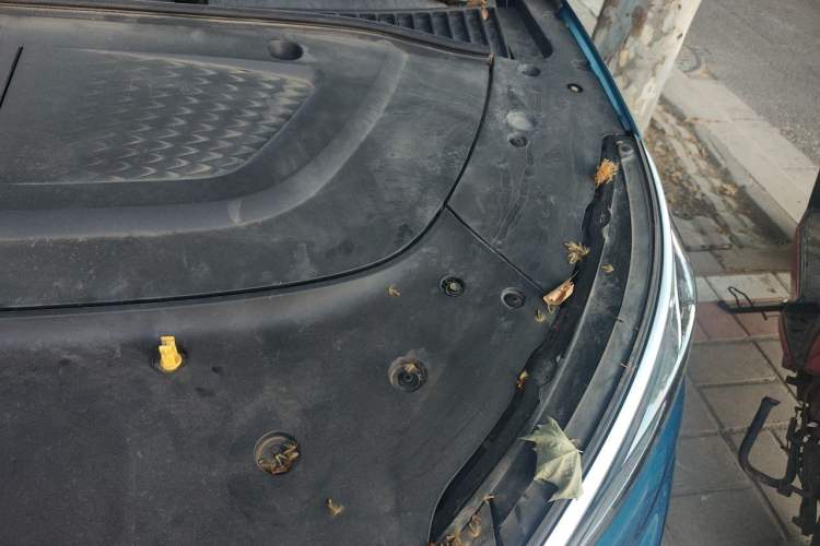 Used BYD Yuan PLUS 2022 510 km Flagship Version Engine Bay Left