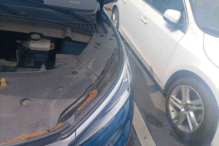 Used BYD Yuan PLUS 2022 430 km Luxury Version Engine Bay Left