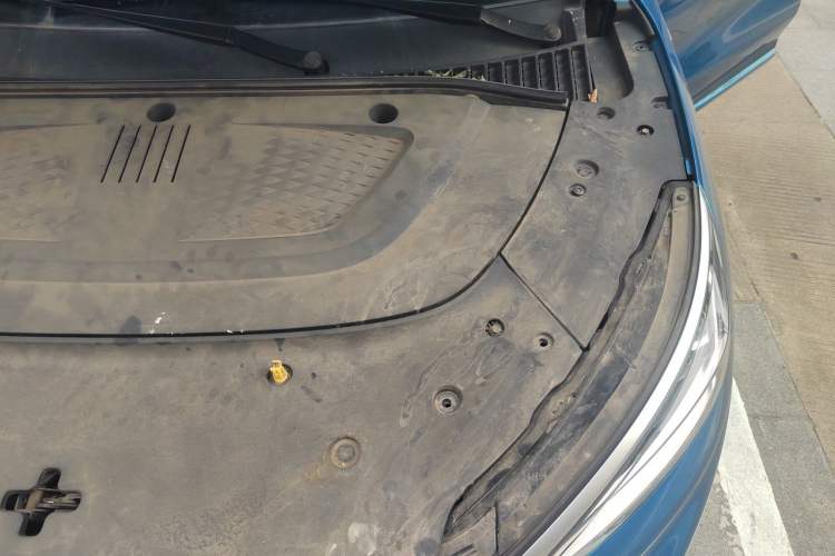 Used BYD Yuan PLUS 2022 510 km Flagship Version Engine Bay Left