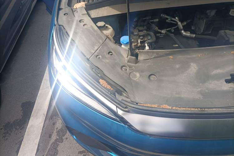 Used BYD Yuan PLUS 2022 430 km Luxury Version Engine Bay Right