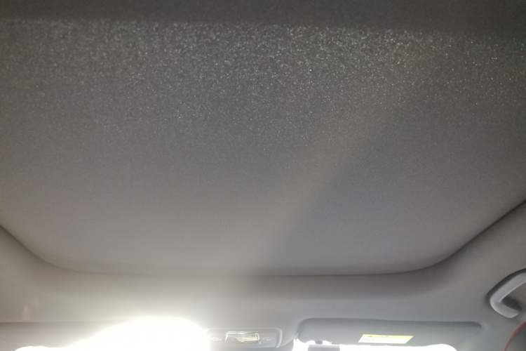Used BYD Yuan PLUS 2022 510 km Flagship Version Headliner