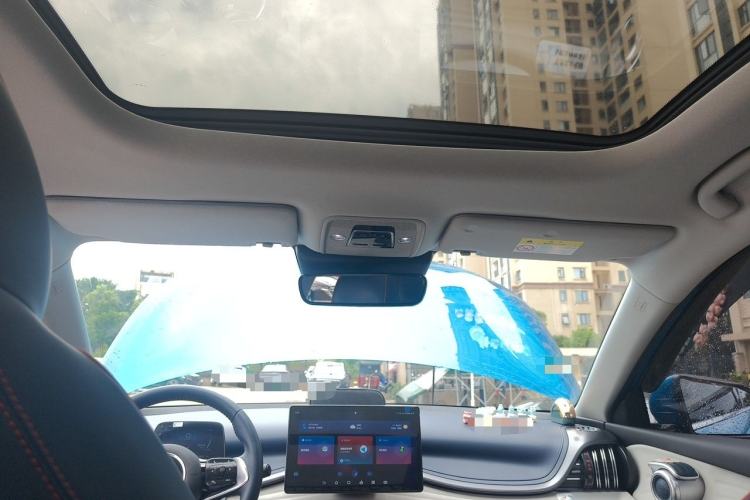 Used BYD Yuan PLUS 2022 510 km Flagship Version Headliner