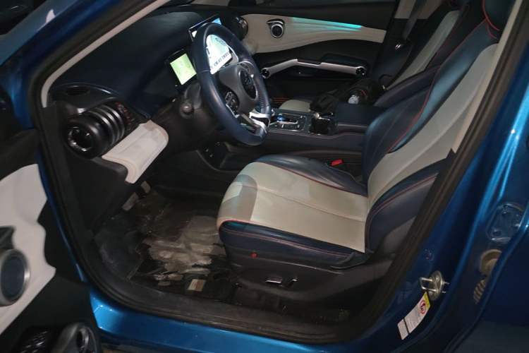 Used BYD Yuan PLUS 2022 510 km Flagship Version Left Front Seat