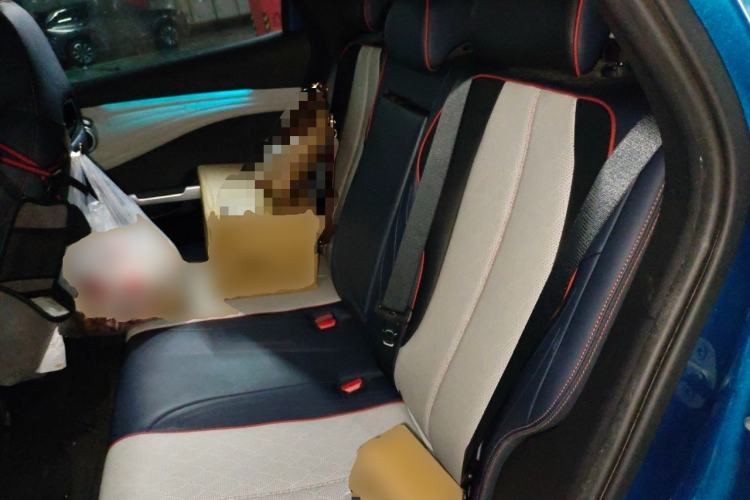 Used BYD Yuan PLUS 2022 510 km Flagship Version Left Rear Seat