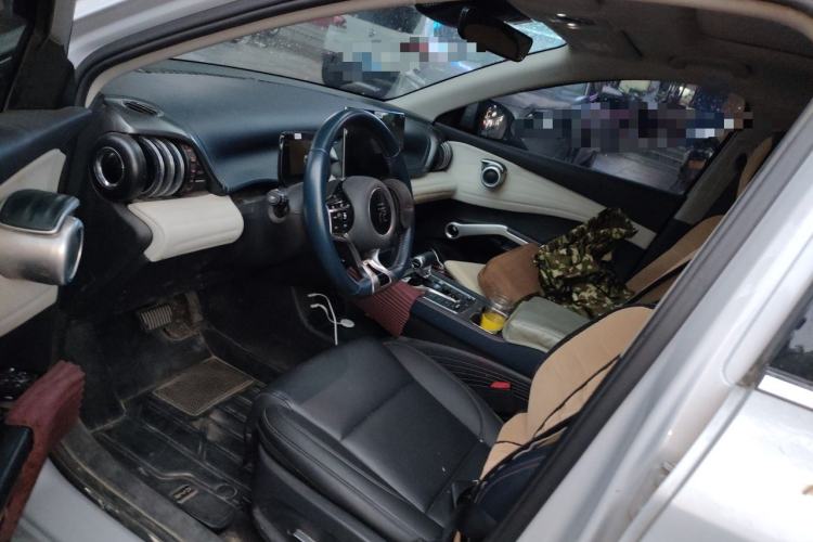 Used BYD Yuan PLUS 2022 510 km Flagship Version Left Front Seat