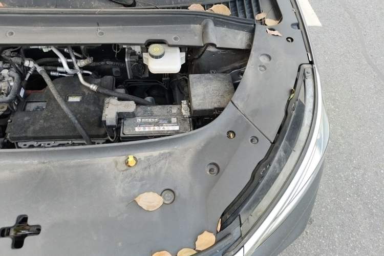 Used BYD Yuan PLUS 2022 510 km Luxury Version Engine Bay Left