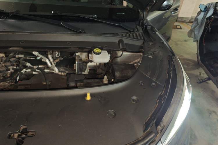 Used BYD Yuan PLUS 2022 510 km Luxury Version Engine Bay Left