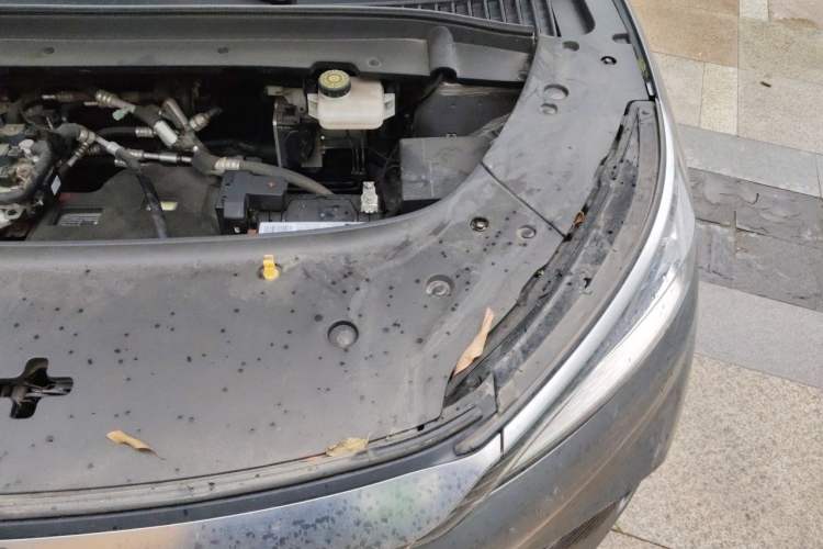 Used BYD Yuan PLUS 2022 430 km Luxury Version Engine Bay Left
