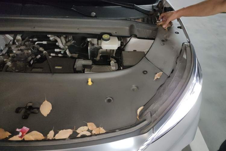 Used BYD Yuan PLUS 2022 430 km Luxury Version Engine Bay Left