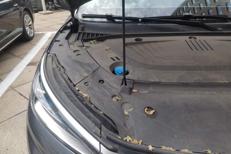 Used BYD Yuan PLUS 2022 510KM Flagship PLUS Engine Bay Right