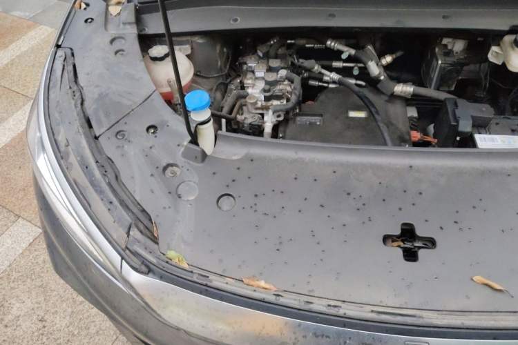 Used BYD Yuan PLUS 2022 430 km Luxury Version Engine Bay Right