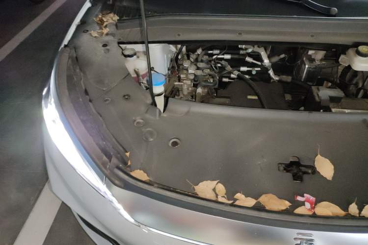 Used BYD Yuan PLUS 2022 430 km Luxury Version Engine Bay Right