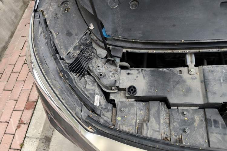 Used BYD Yuan PLUS 2022 510 km Flagship Version Engine Bay Right