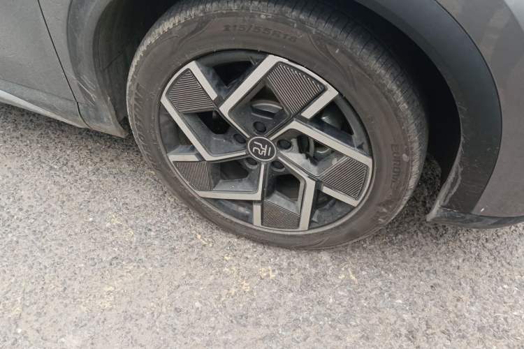 Used BYD Yuan PLUS 2022 510 km Flagship Version Exterior 1