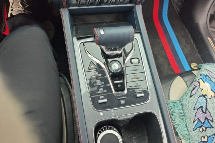 Used BYD Yuan PLUS 2022 510 km Luxury Version Gear Lever
