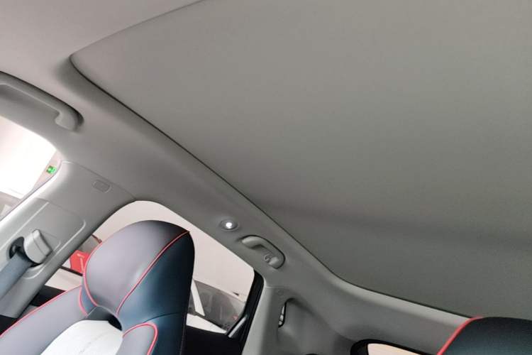 Used BYD Yuan PLUS 2022 510 km Flagship Version Headliner