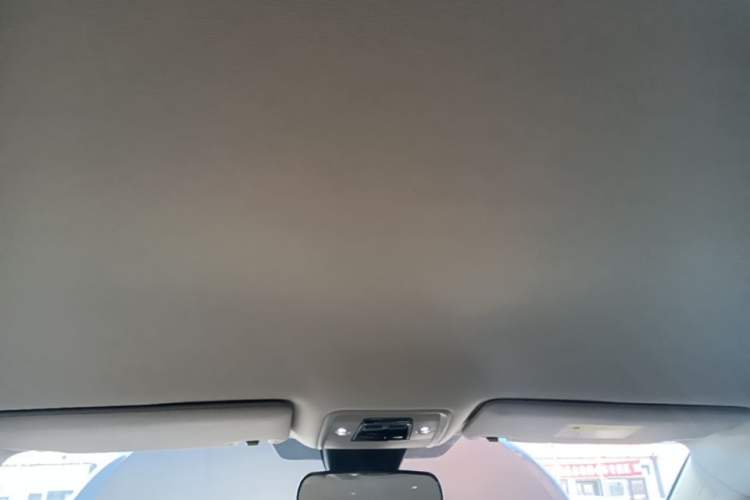 Used BYD Yuan PLUS 2022 430 km Luxury Version Headliner