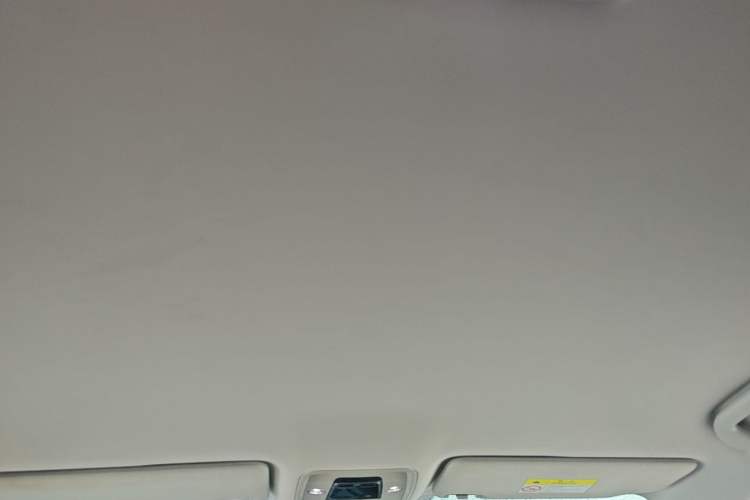 Used BYD Yuan PLUS 2022 510 km Luxury Version Headliner