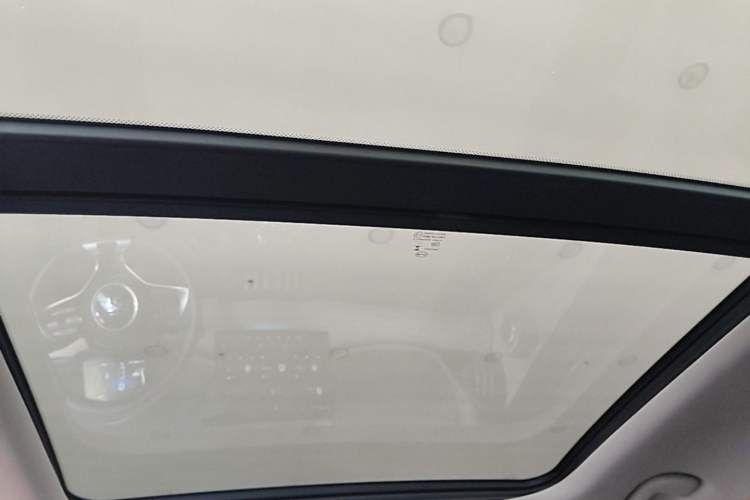 Used BYD Yuan PLUS 2022 510 km Flagship Version Headliner