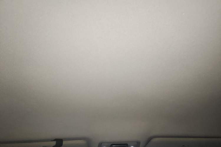 Used BYD Yuan PLUS 2022 510 km Luxury Version Headliner