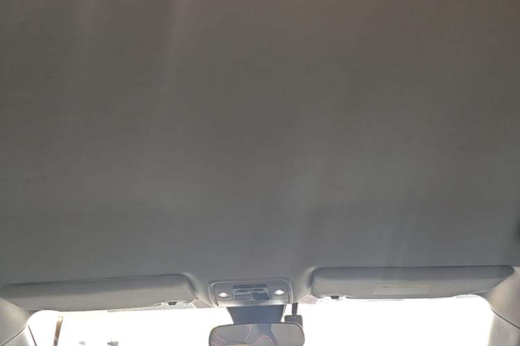 Used BYD Yuan PLUS 2022 510 km Luxury Version Headliner