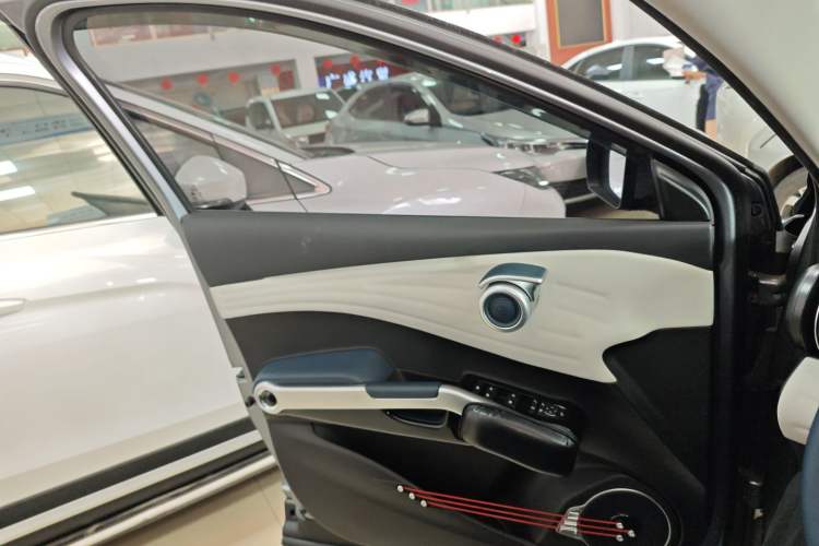 Used BYD Yuan PLUS 2022 510 km Luxury Version Left Front Door Interior