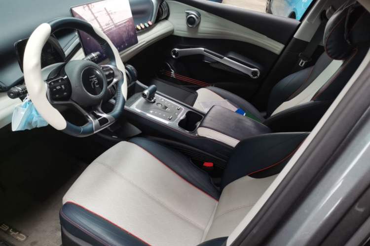 Used BYD Yuan PLUS 2022 510KM Flagship PLUS Left Front Seat