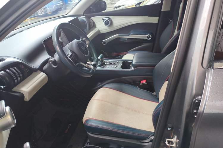 Used BYD Yuan PLUS 2022 510 km Luxury Version Left Front Seat